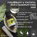 Soulflower Patchouli Essential Oil | Grocsy
