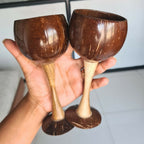 Thenga Coconut Shell & Wooden Wine Glasses | Grocsy