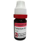 Dr. Reckeweg Tellurium Metallicum Dilution | Grocsy