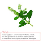 Manish Malhotra Tulsi Cleansing Foam Gel | Grocsy