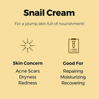 Cosrx Advanced Snail 92 All In One Cream - Korean Skincare | Grocsy