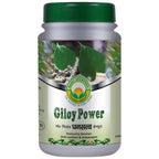 Basic Ayurveda Giloy Power Capsules | Grocsy