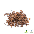 Nxtgen Ayurveda Nagkesar | Grocsy