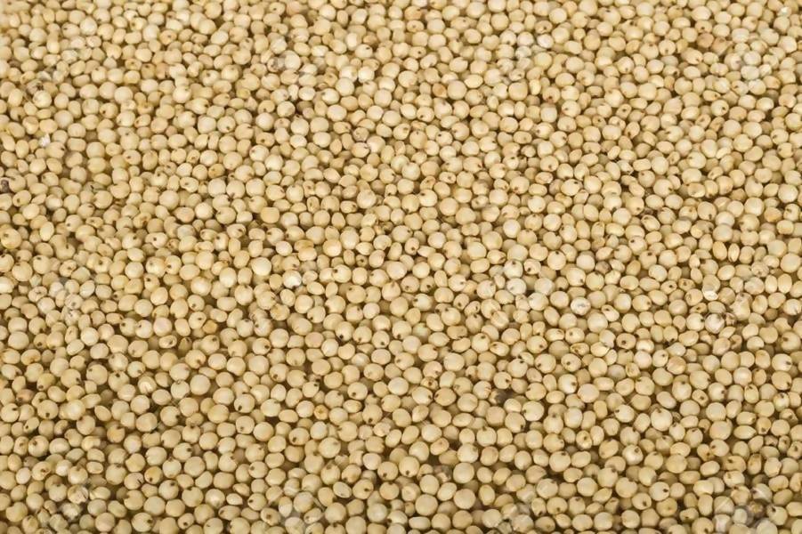 Accept Organic Whole Jowar | Grocsy