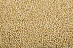 Accept Organic Whole Jowar | Grocsy