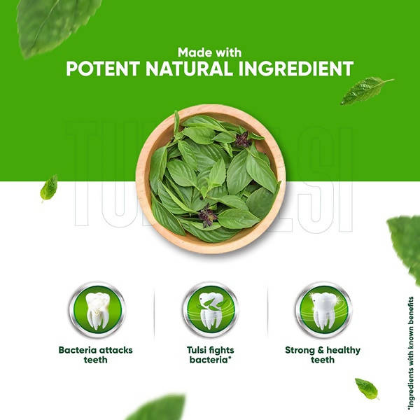 Dabur Herb'l Tulsi - Anti-Bacterial Toothpaste | Grocsy
