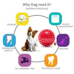 The Dogs Company Natural Rubber Spiked Ball Dog Chew Toy | Grocsy