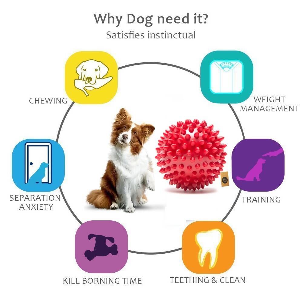 The Dogs Company Natural Rubber Spiked Ball Dog Chew Toy | Grocsy