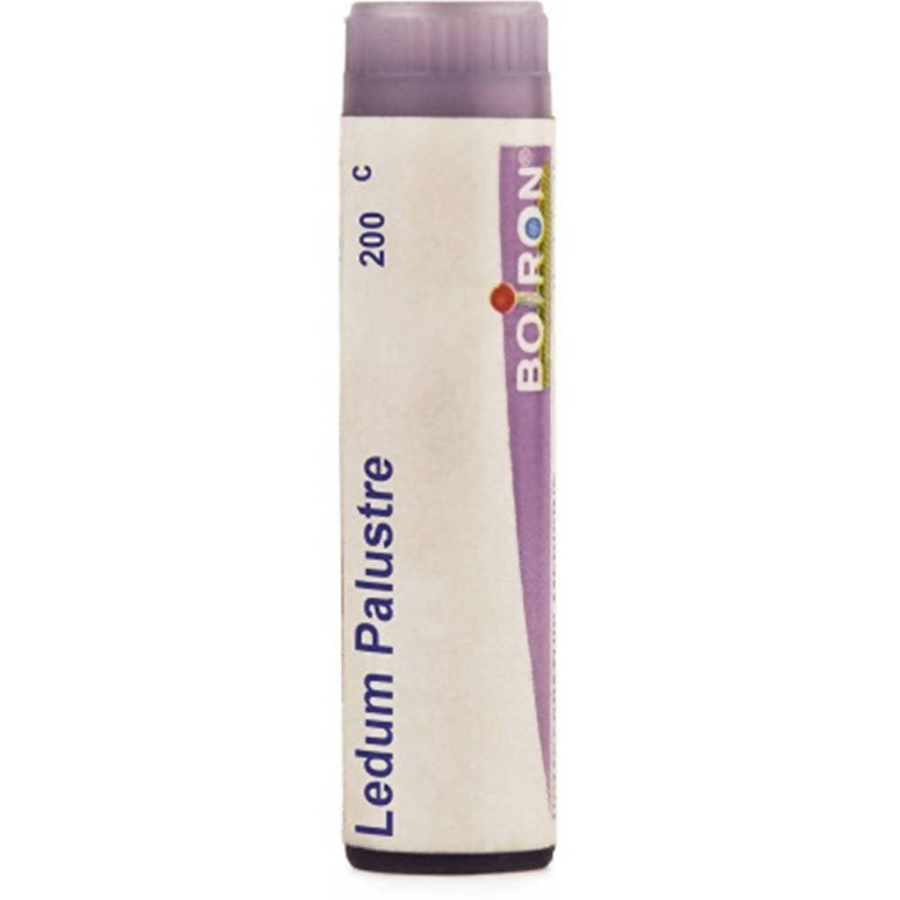 Boiron Homeopathy Ledium Palustre | Grocsy