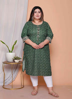 Miravan Womens Plus Size Green Zigzag Print Embroidery Rayon Straight Kurta | Grocsy