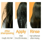 Elizavecca CER 100 Collagen Coating Hair Protein Treatment | Grocsy