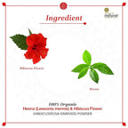 Khadi Natural Organic Henna & Hibiscus Flower Powder | Grocsy
