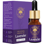 Old Tree Lavender Essential Oil | Grocsy