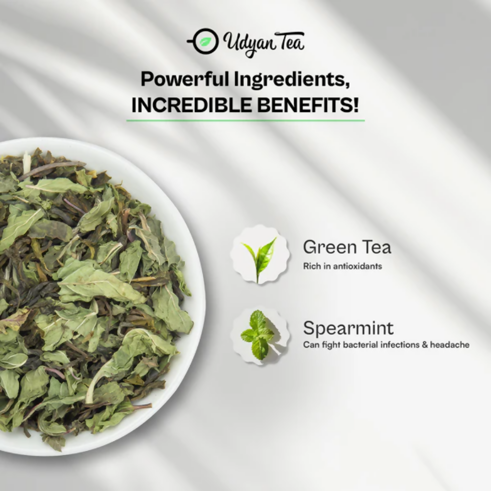 Udyan Tea Moroccan Mint Green Tea | Grocsy