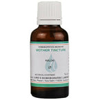Lord's Homeopathy Amloki Mother Tincture Q | Grocsy