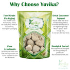 Yuvika Ber Pathar - Hajrul Yahood - Sange Yahood - Bhasma Badarashma - Fossil Encrinite | Grocsy