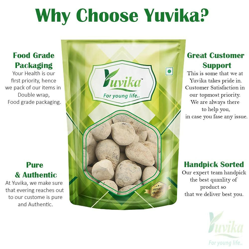 Yuvika Ber Pathar - Hajrul Yahood - Sange Yahood - Bhasma Badarashma - Fossil Encrinite | Grocsy