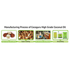 Cocoguru High Grade Coconut Cooking Oil | Grocsy