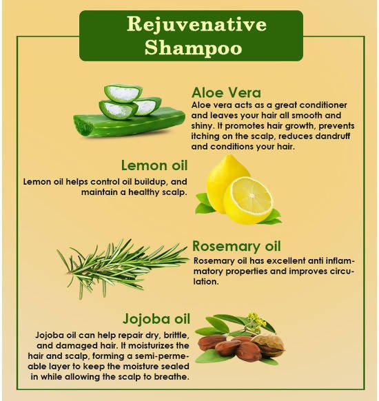 Ancient Living Rejuvenative Shampoo | Grocsy