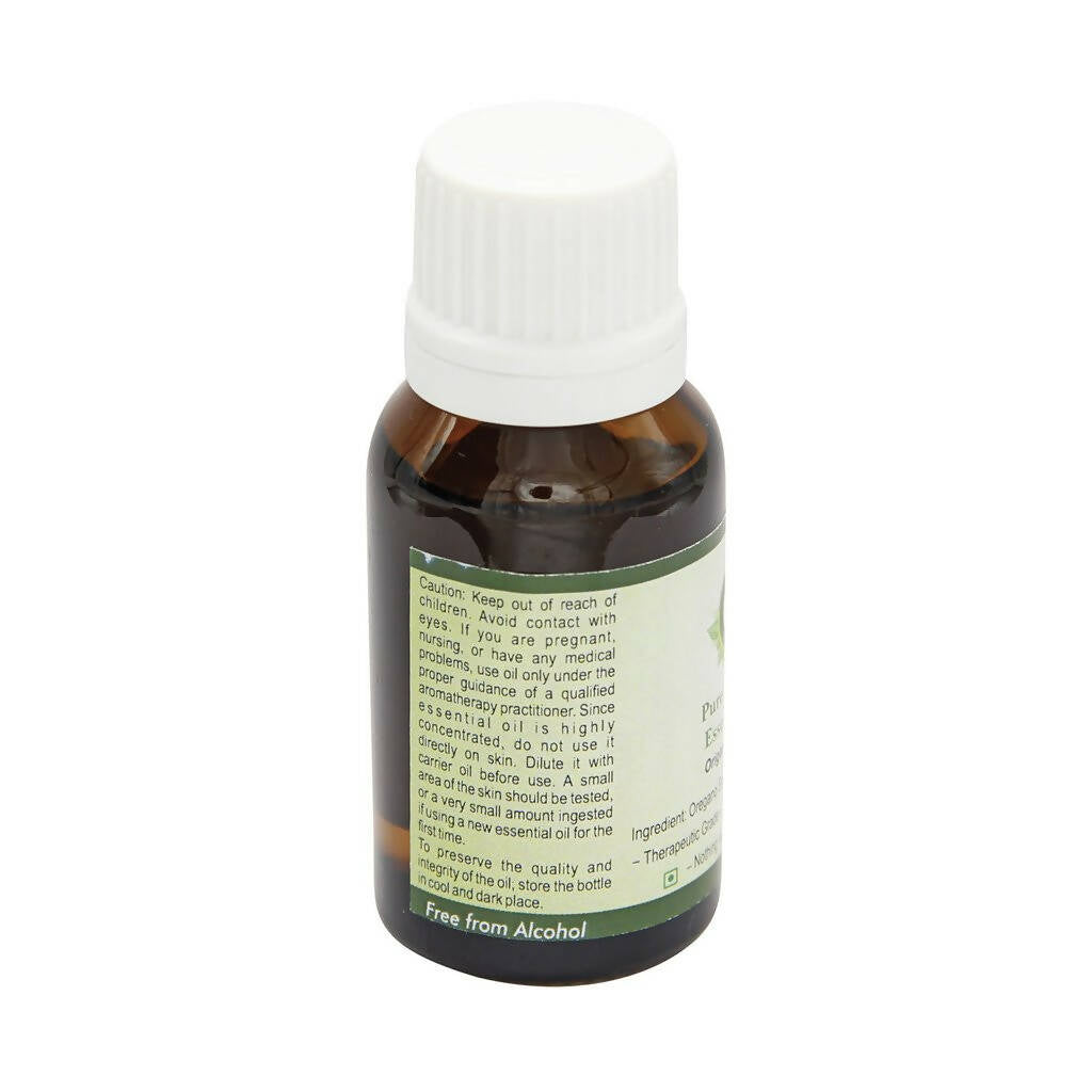 R V Essential Pure Oregano Essential Oil | Grocsy