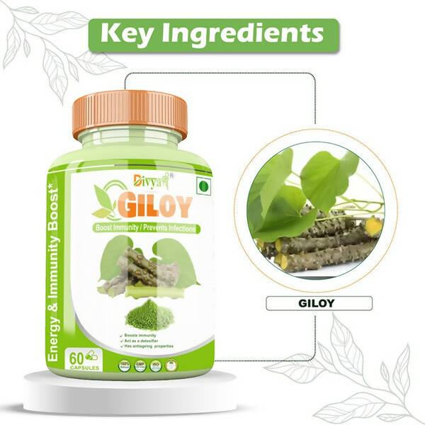 Divya Shree Giloy Capsules | Grocsy