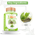 Divya Shree Giloy Capsules | Grocsy