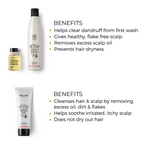 Brillare Anti Dandruff Treatment Combo | Grocsy