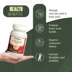 Rajasthan Herbals Cissus Capsules | Grocsy