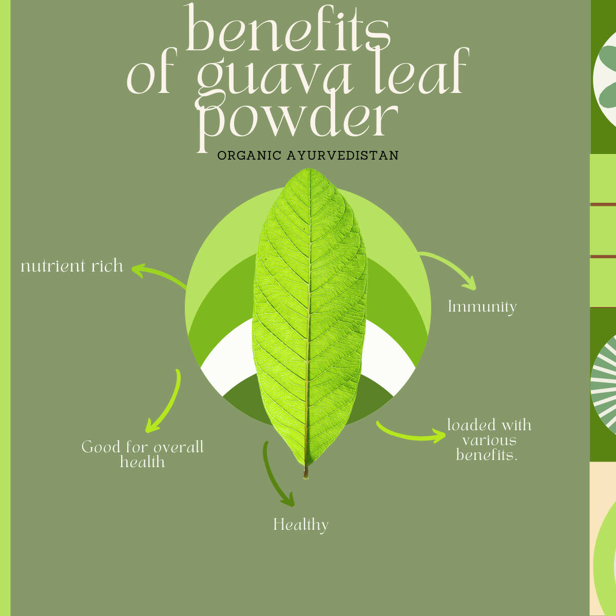 Organic AyurveGrocsyn Guava Leaves Powder | Grocsy