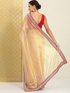 Teeya Creation Chiku Color Organza Silk Lace Work Saree | Grocsy