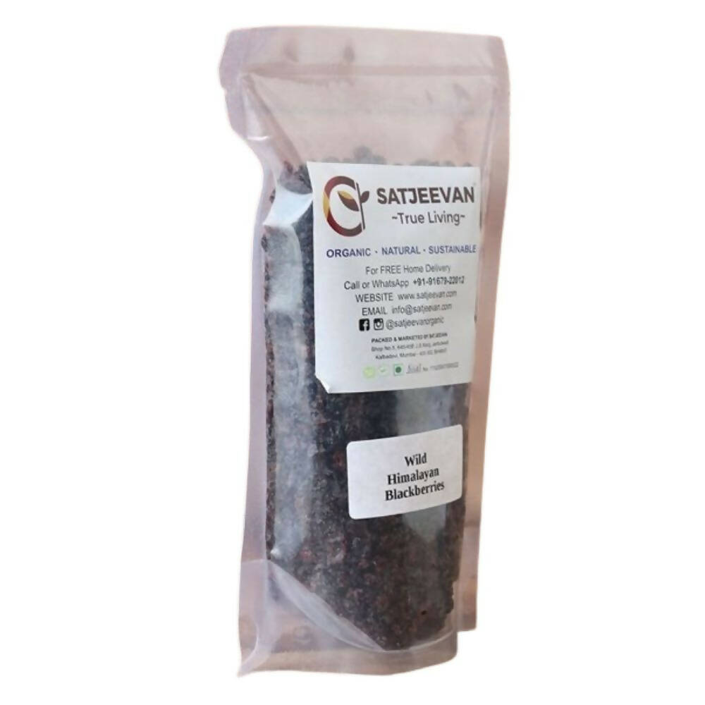 Satjeevan Wild Himalayan Blackberries | Grocsy