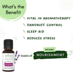 Mystiq Living Originals Lavender Essential Oil | Grocsy