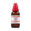 Dr. Willmar Schwabe India Santalum Album Dilution | Grocsy