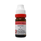 Dr. Reckeweg Senecio Aureus Dilution | Grocsy