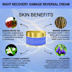 Body Gold Night Care Cream | Grocsy