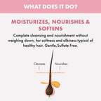 Alfaparf Milano Nutritive Shampoo For Dry, Frizzy Hair | Grocsy