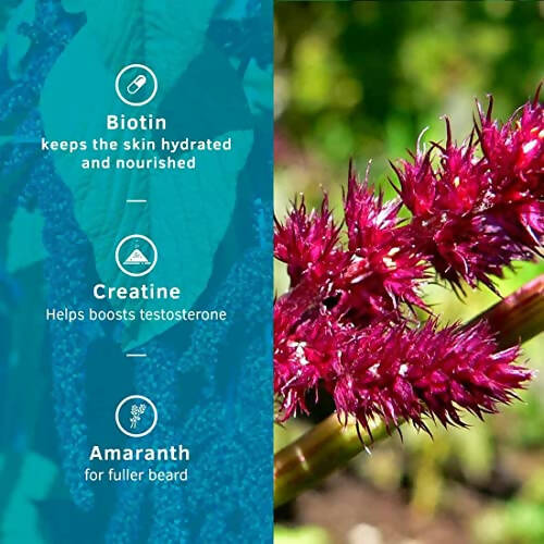Ustraa Beard Growth Supplement | Grocsy