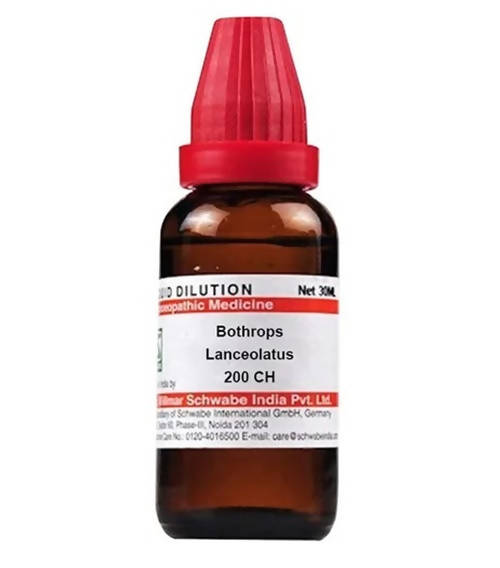 Dr. Willmar Schwabe India Bothrops Lanceolatus Dilution | Grocsy
