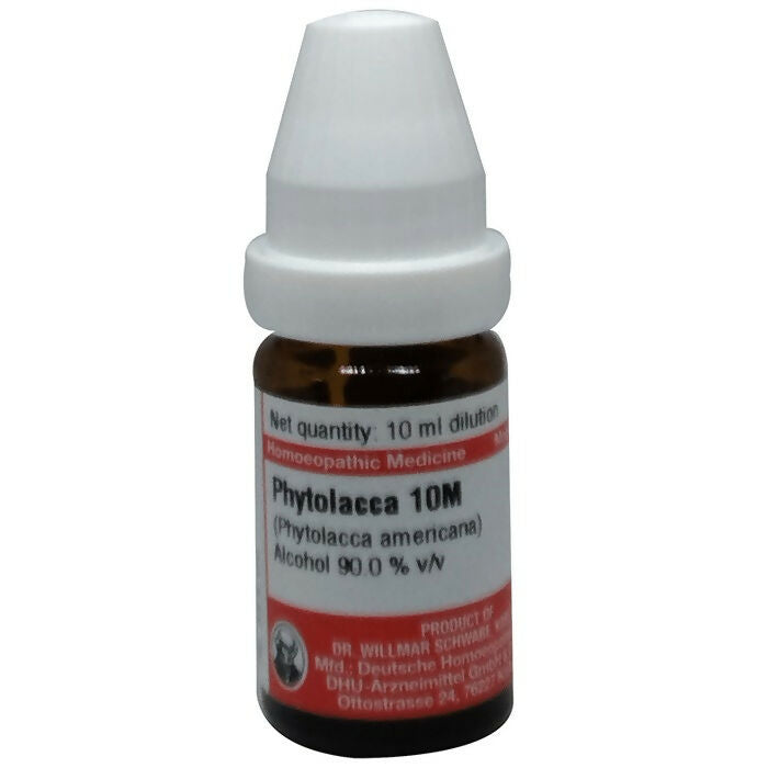 Dr. Willmar Schwabe Germany Phytolacca Dilution | Grocsy