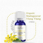 Dark Forest Organic Madagascar Ylang Ylang Essential Oil | Grocsy