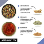 Teacurry Morphology Tea For Men | Grocsy