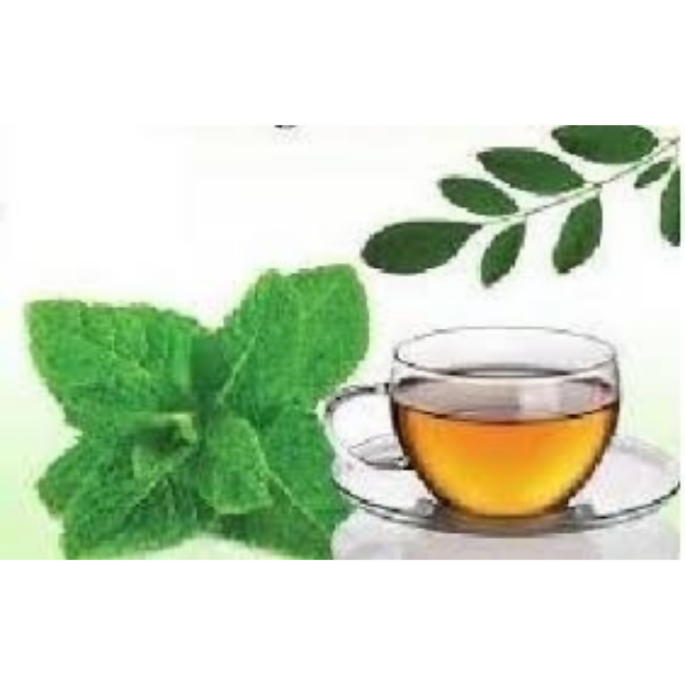 Nxtgen Ayurveda Moringa Peppermint Infusion | Grocsy