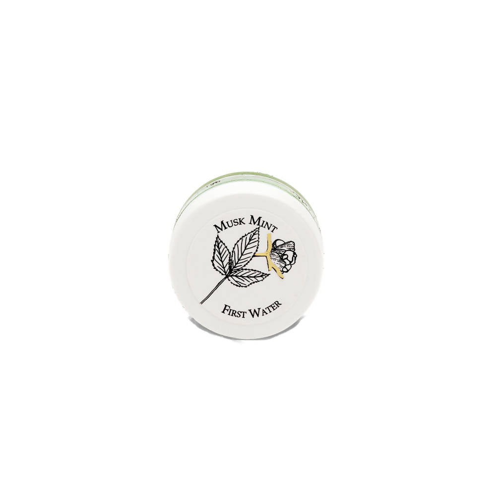 First Water Musk Mint Solid Perfume | Grocsy