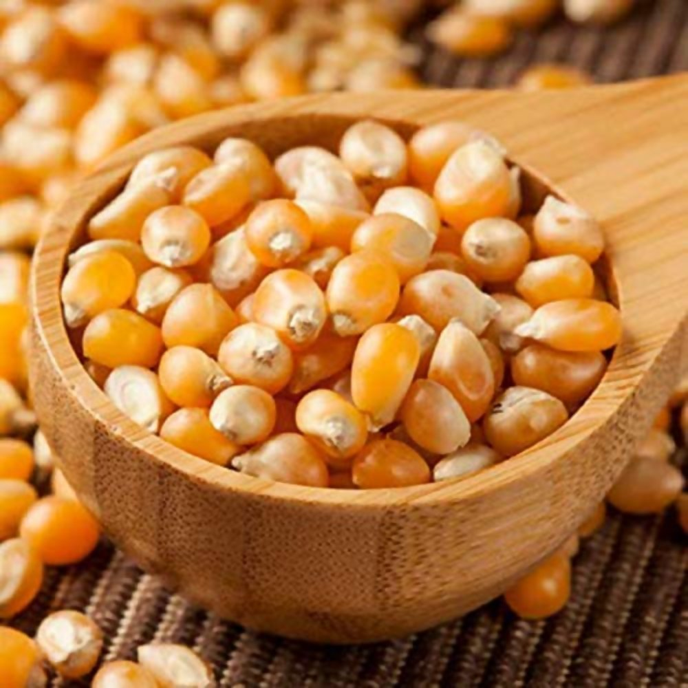 FreshoCartz Popcorn Kernel Seeds | Grocsy