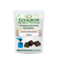 Yuvagrow Dark Chocolate Nuts | Grocsy