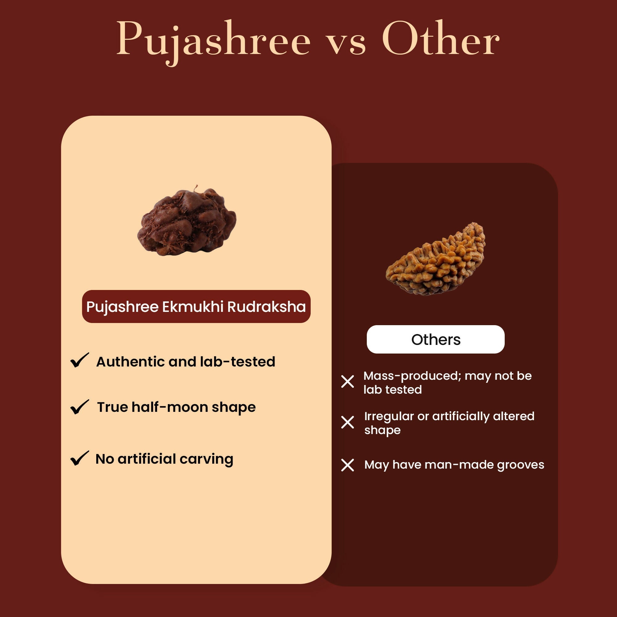 Pujashree Ek Mukhi Rudraksh – Sacred One Mukhi Rudraksha for Lord Shiva Blessings, Peace & Spiritual Growth | Grocsy