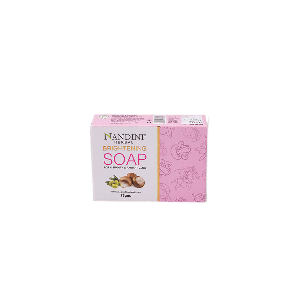 Nandini Herbal Brightening Soap | Grocsy