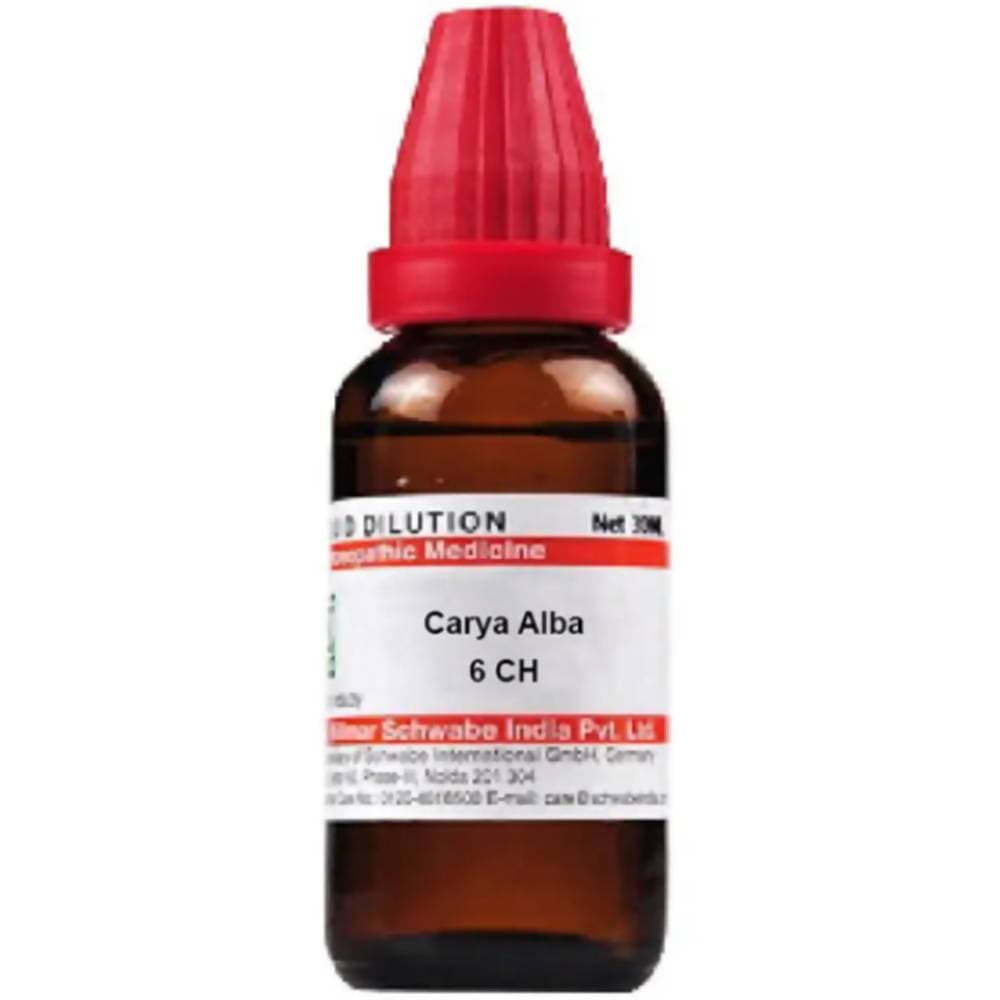Dr. Willmar Schwabe India Carya Alba Dilution | Grocsy