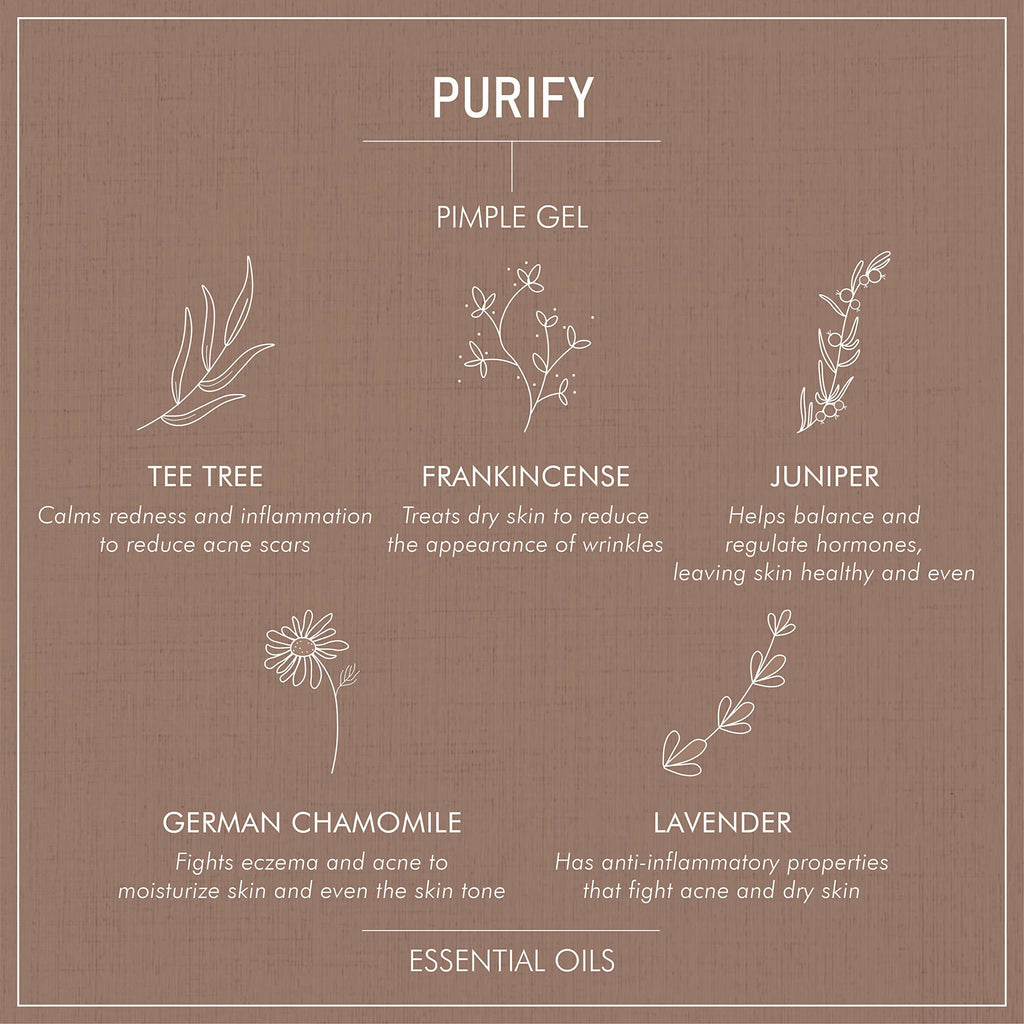 Secret Alchemist Purify Pimple Gel | Grocsy