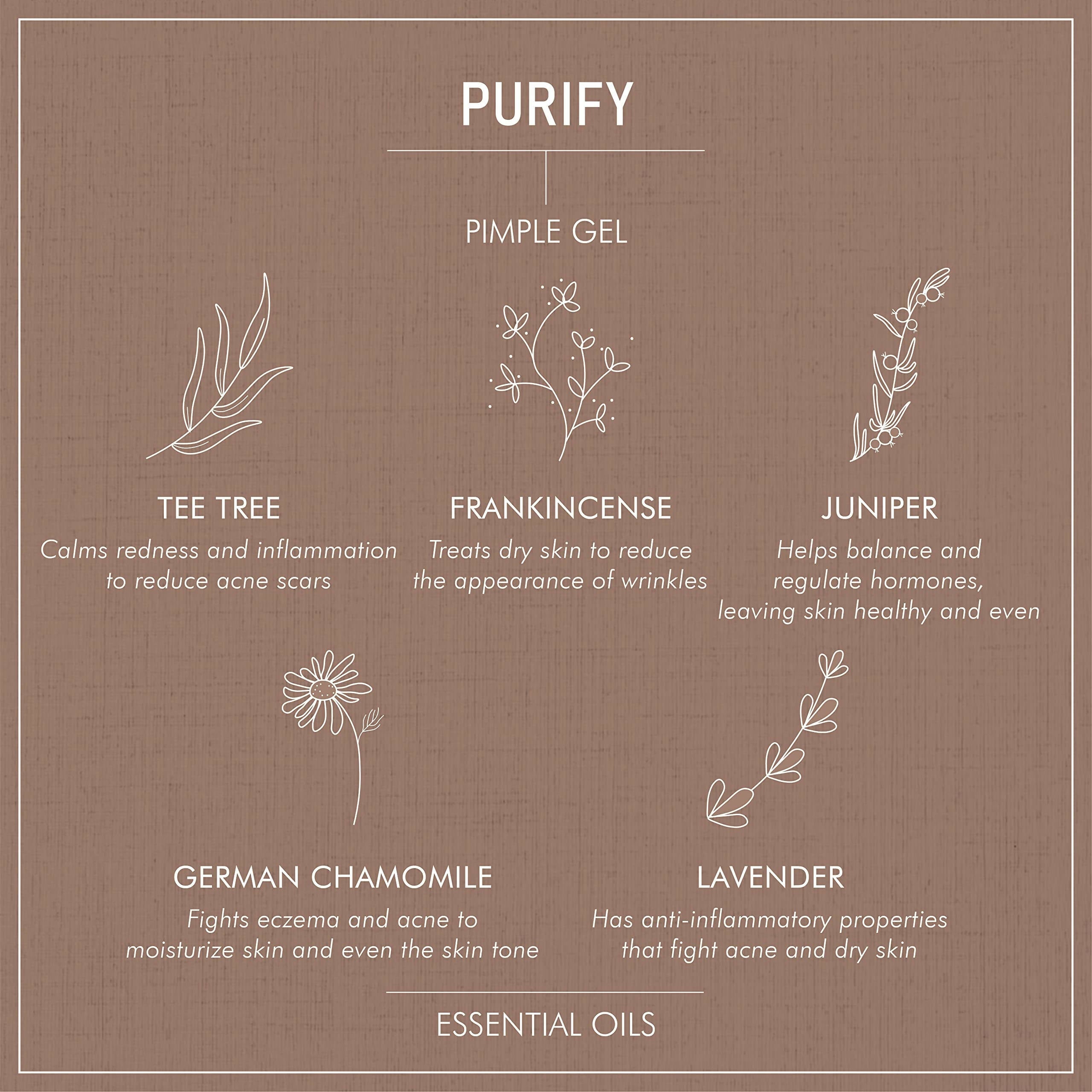 Secret Alchemist Purify Pimple Gel | Grocsy